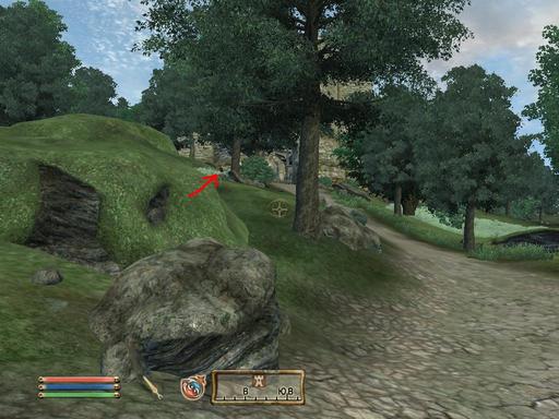 Elder Scrolls IV: Oblivion, The - Дневник имперского гастарбайтера. Том третий.