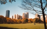 Centralpark