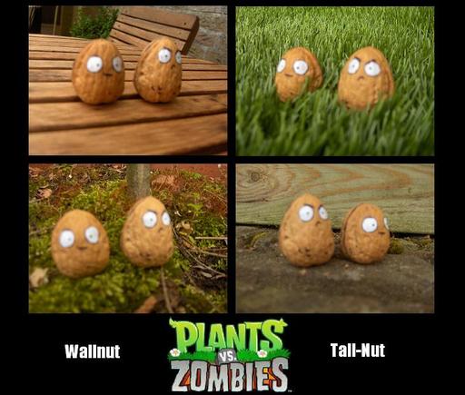 Plants vs. Zombies - Фан-арт — 2