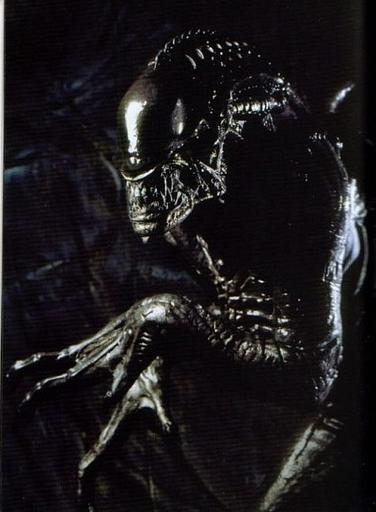 Aliens versus Predator (1999) - Решил сделать Арт-галерею