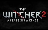 Img_953_the-witcher-2-assassins-of-kings-living-world