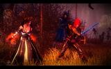 Witcher2_2011-07-15_00-00-13-84