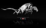 Amd_dragon_2_hd_wallpaper