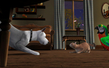 Ts3pets_pc_dogcatbirdplay