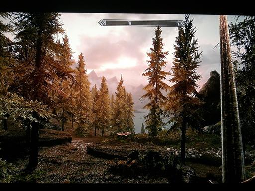 Elder Scrolls V: Skyrim, The - Новые скриншоты из игры [Xbox 360, 10 шт.] 