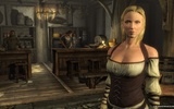 The-elder-scrolls-v-skyrim-busty-wench