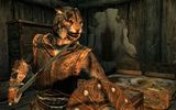 Skyrim_shield_kote