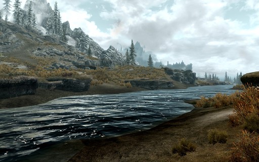 Elder Scrolls V: Skyrim, The - Skyrim – первая западная игра получившая оценку 40 из 40 у журнала Famitsu