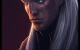 The_witcher___contest_by_deligaris