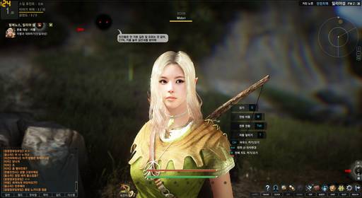 Black Desert - Игровые классы: волшебница и лучница