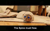 Spice_must_flow